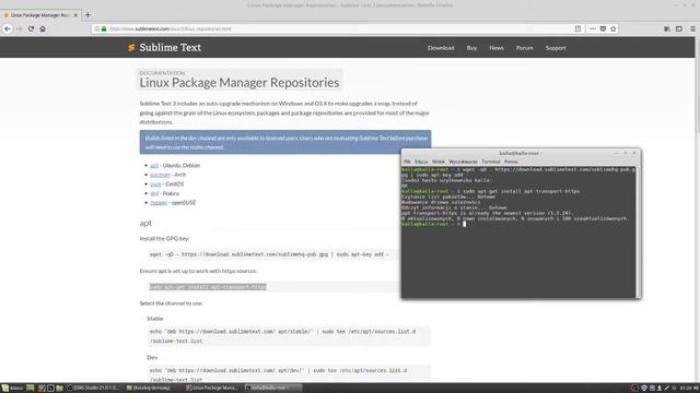 linux mint - sublime text 3 instalacja