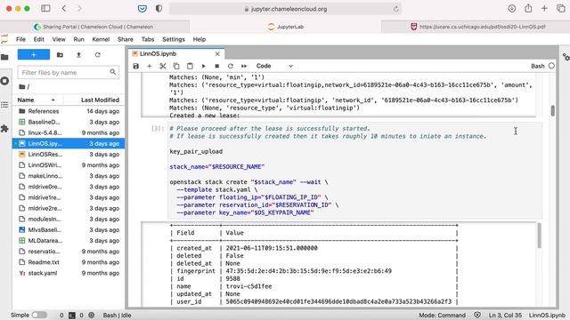 Reproducing the LinnOS experiment on Chameleon with Jupyter