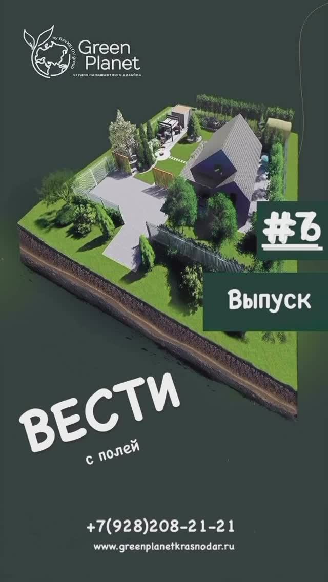 Рубрика «Вести с Полей». Выпуск #7