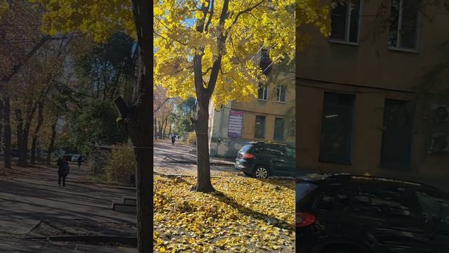 Прям осень-осень 🍁 .mp4