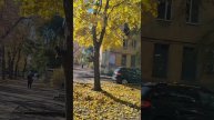 Прям осень-осень 🍁 .mp4