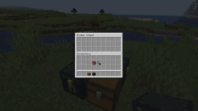 Minecraft with mods on linux