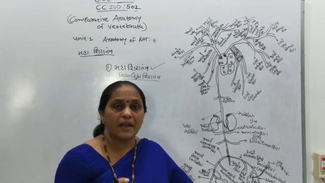 B.SC SEM-5 ZOOLOGY ANATOMY OF RAT:-VENOUS SYSTEM PART-2 BY DR.KUMUD PATEL