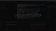 Fly With Us - Airplane Logo | After Effects Project Files - Videohive template