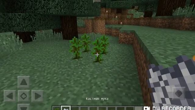 minecraft 1.1.0 😁
