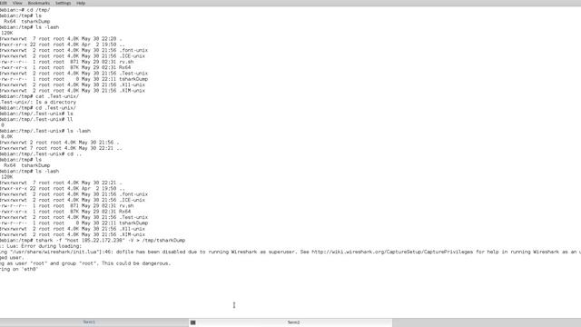 Linux Hacker's Script Demostration