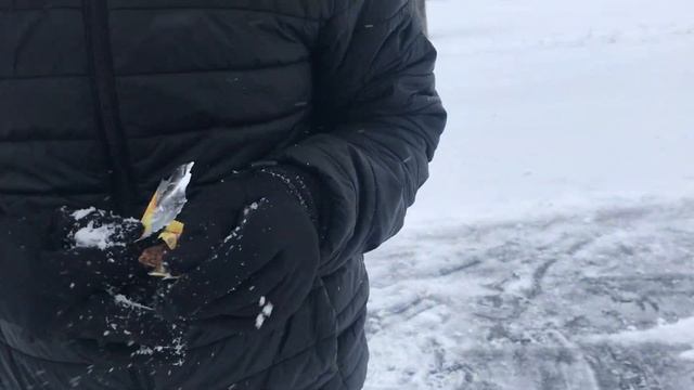 Logan Tries Apple + Banana Fruit Bar
