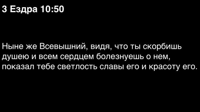 День 279. Библия за год. С митрополитом Иларионом.