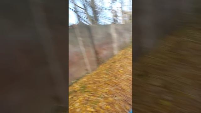 октябрь