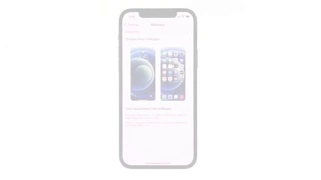 How To Set Or Change Wallpaper On IPhone 12