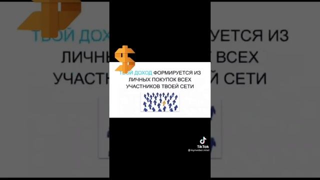 В чем заключается суть бизнеса атоми.