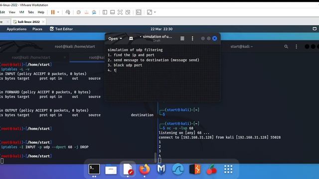UDP filtering in kali linux