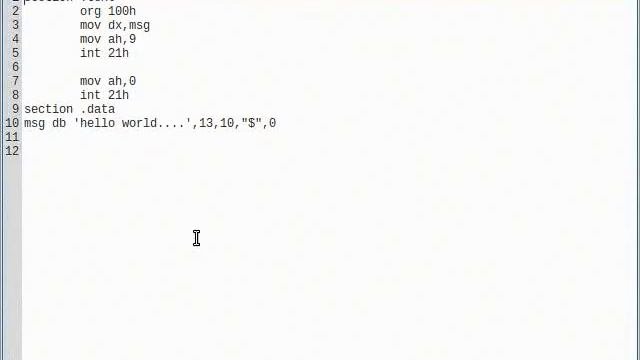 nasm compiler