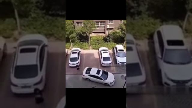 Мир не без добрых людей!