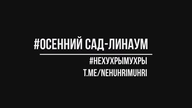 осенний сад