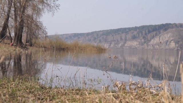 Выше белых облаков - Мамонт