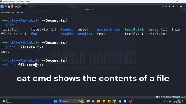 Show difference between two files Linux