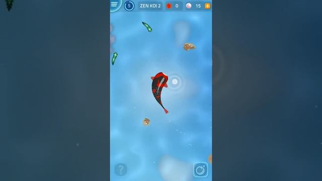 Zen Koi 2 gameplay Android-iOS