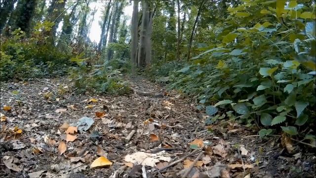 SCALE RC JEEP WRANGLER in the wood of SAINT PIERRE