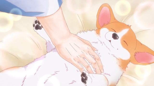(Neko) - Господин и пёс, трейлер