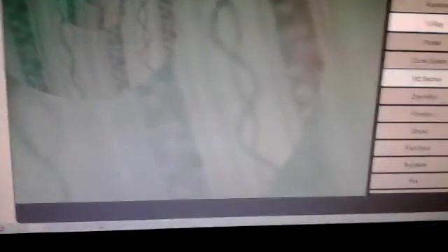 Я смотрю камеру в программе пизар 1 часть