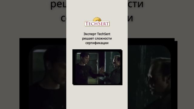 А как решает вопросы ваш эксперт?