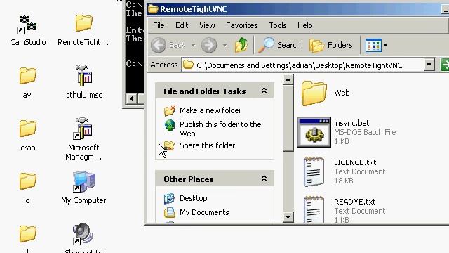 Install VNC Remotely!