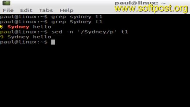 Difference between grep and sed in BASH shell terminal