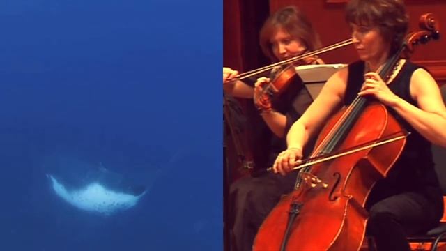 I BelgorodMusicFest2012 - Borislav Strulev and Friends - On 7 Winds / На 7 Ветрах
