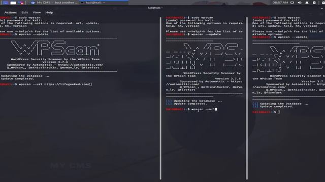 #SEO : Analyse de #ndd avec l'outil #wpscan sur la distribution #KaliLinux