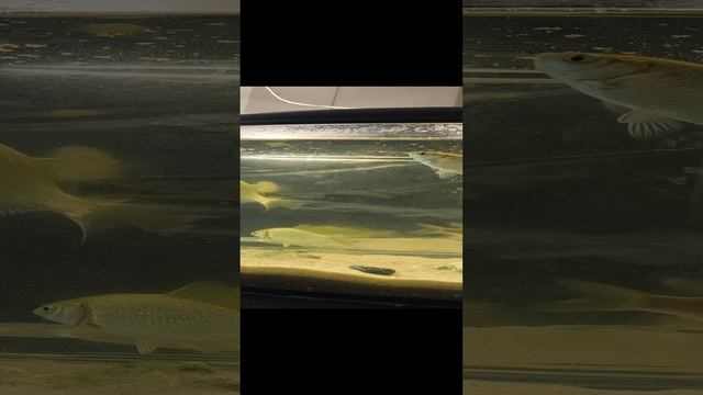 23-10-2024