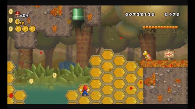 WARNING! you passed - Newer Super Mario Bros Wii: Episode 3