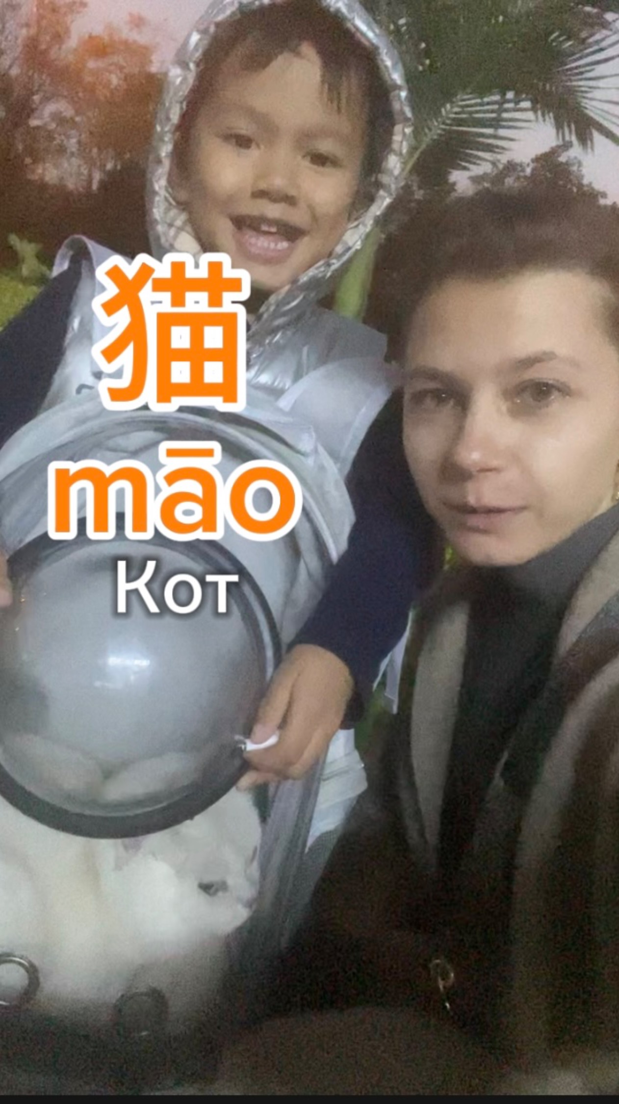 Говорим на русском и китайском. Переводим слова "Кот"
#китайский #язык #русский #перевод #метис