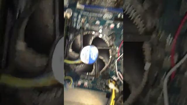 Linux graphics card issues 1
