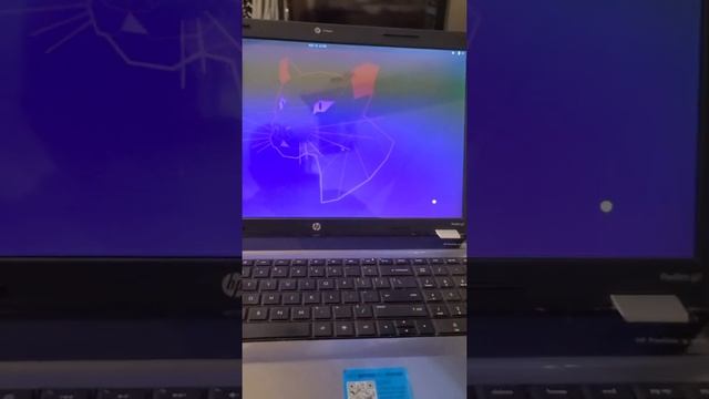 Project 4 Linux