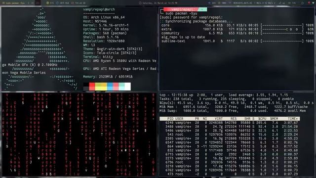 How Linux users show-off