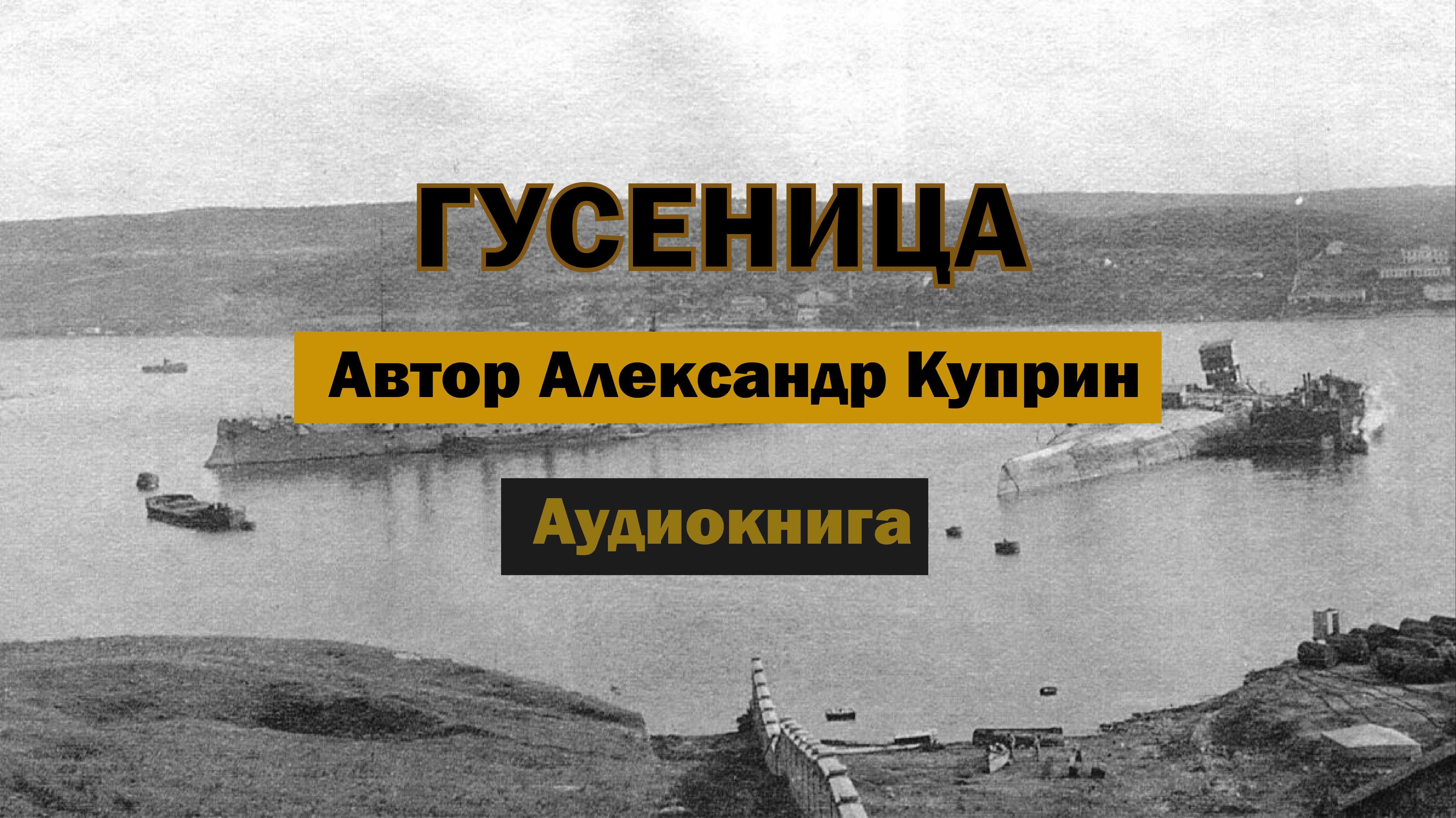 Гусеница А.Куприн Аудиокнига #аудиокнига #аудиокниги #куприн #роман #рассказ #бесплатно