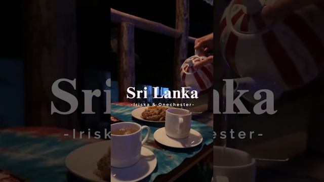 Ночная жизнь на Шри-Ланке #srilanka #night #travel #шриланка #ночь