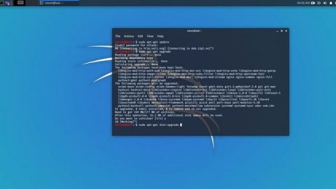 Update & Upgrade kali linux