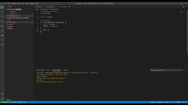 Get started with Golang in less than 15 minutes (Unit testing included)
