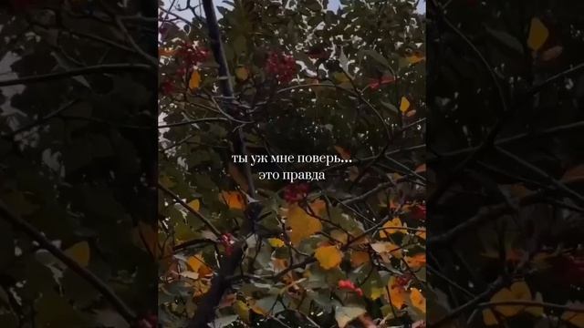 Ну разве есть город лучше Донецка? 🥰 

Я верю, что в Донецке будет все замечательно, после Победы