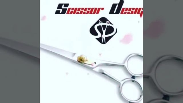 Professional Scissors / Barber Scissors / Hair Dressing Scissors