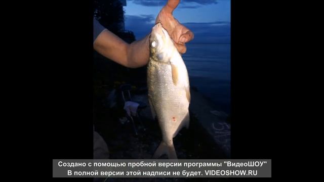 Рыбалка  с Тёмой и Лёхой.