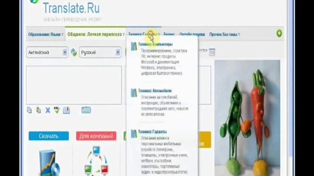 Лесной Болван vs Translate.Ru (volode4ka mix)