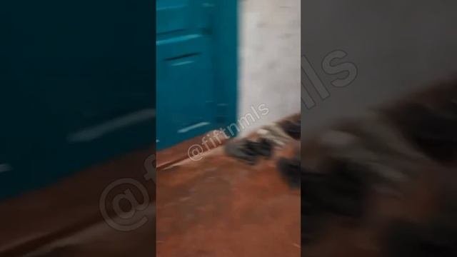 То за что сражается Украина