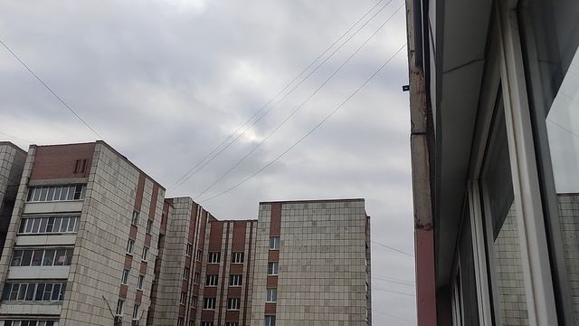 Сорока Сара.Крайняя съёмка. Сара пропала.