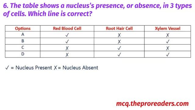 Biology MCQs: Topic 1: Cell Structure and Organization- Quiz 4