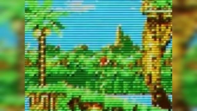 sonic xg pest