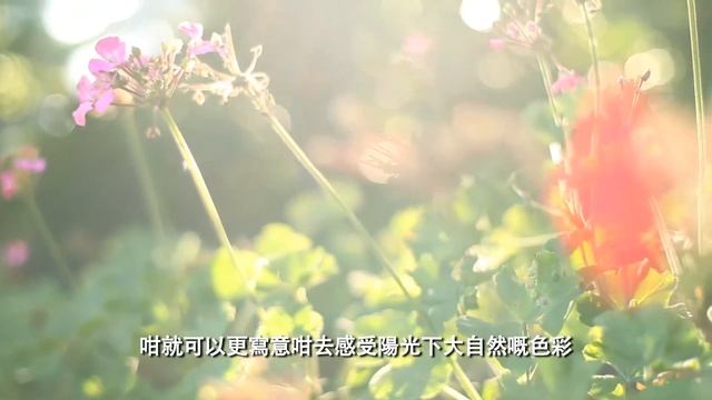 Acuvue Natural Remix (連詩雅篇）