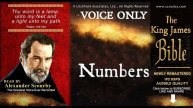 4 | Numbers { Scourby AUDIO BIBLE KJV } "Thy Word is a lamp unto my feet" Psalm:119-105
